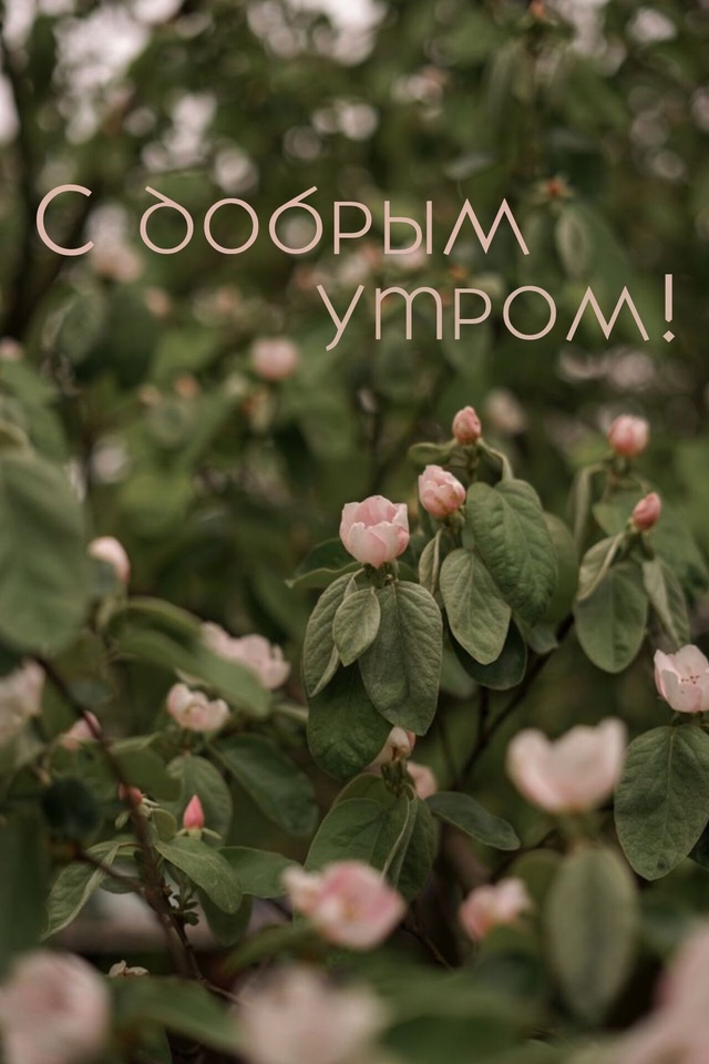 Доброе утро Подслушано!