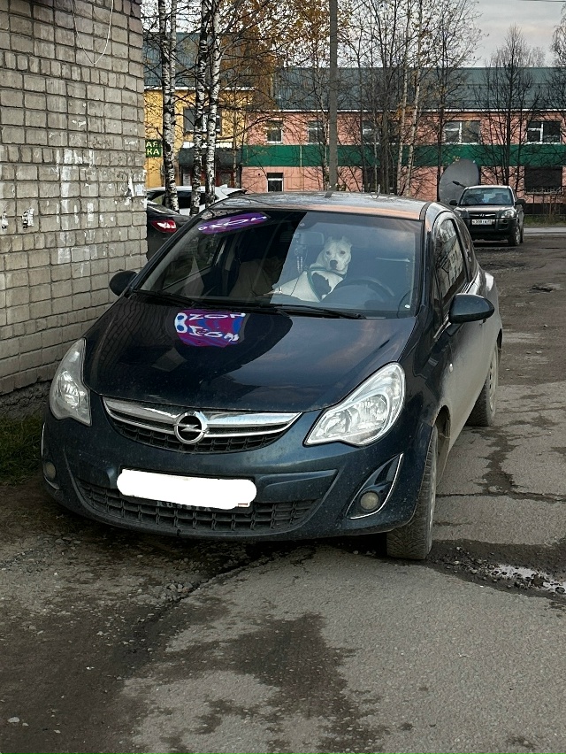 Противоугонная система хорошая, качественная, сразу в?...