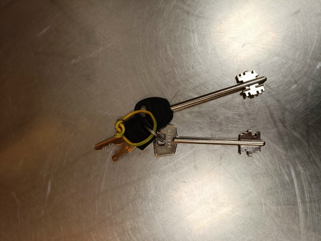 Найдены ключи около чижика, обращайтесь на кассу