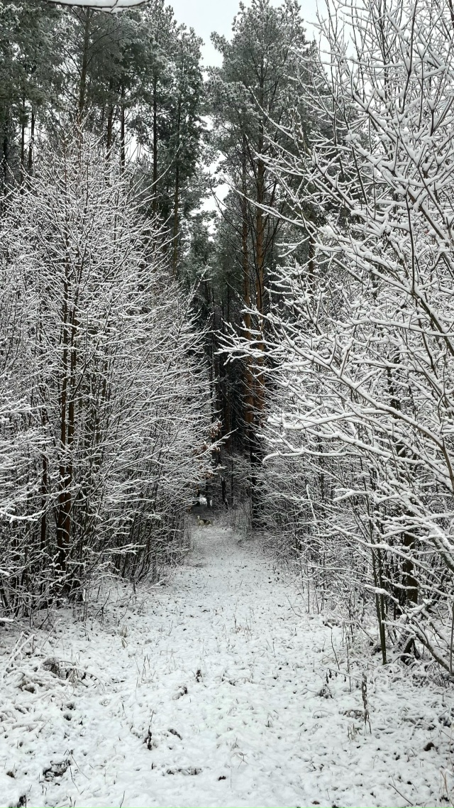 Доброй ночи, Никольск❤
