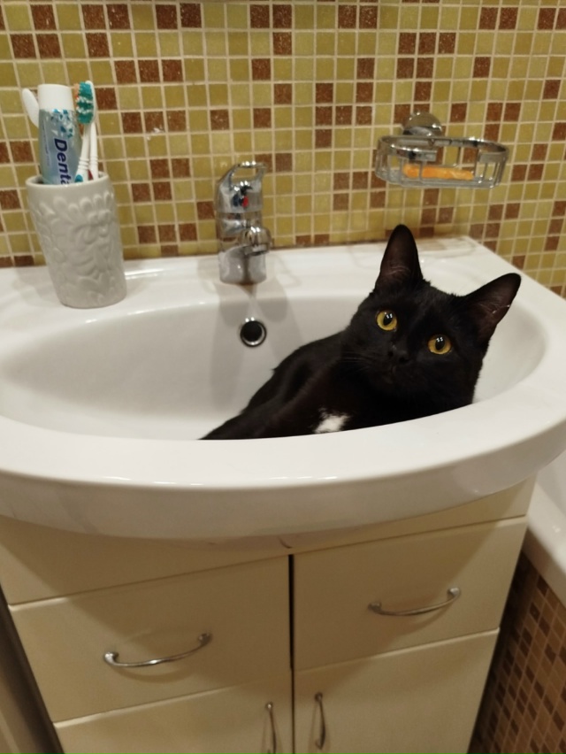 Чего смотришь? Умывайся и иди работай!)