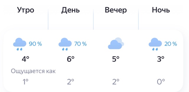‼️Погода Брянск сегодня