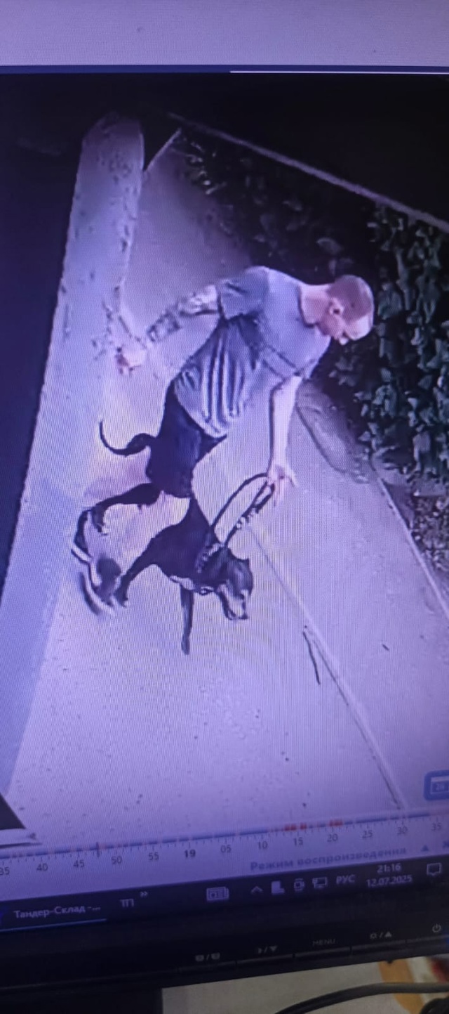 Вчера в 18.47 собака типо стаф чуть не загрызла, выхватив ...