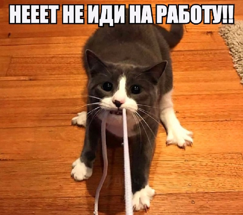 Утренняя подборочка