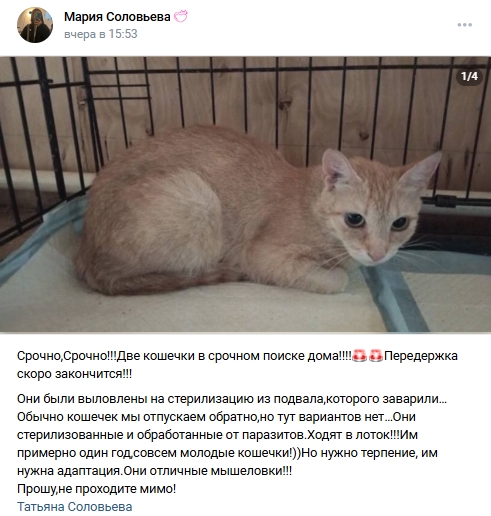 Пост добра. Распространите, пожалуйста.