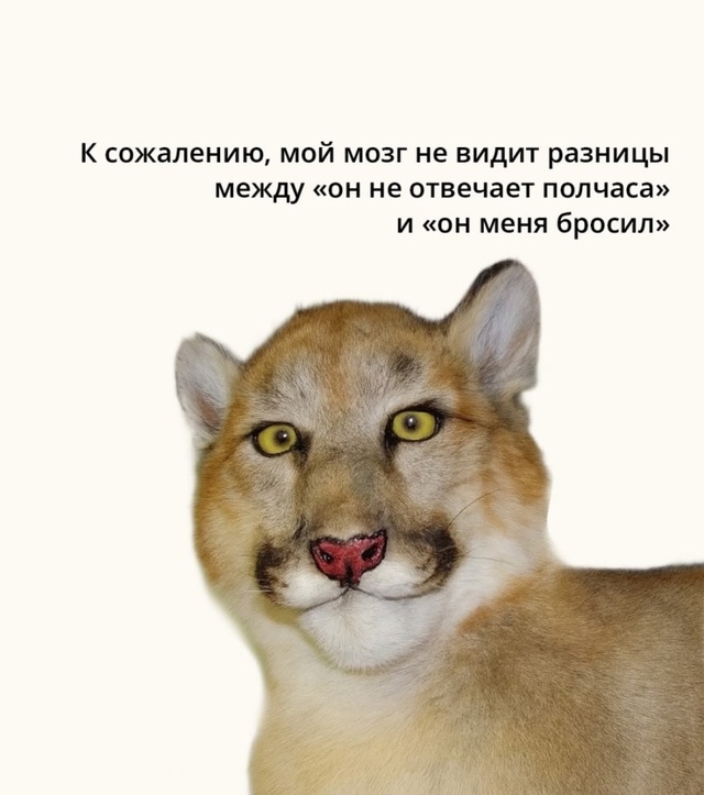 Бывает😅