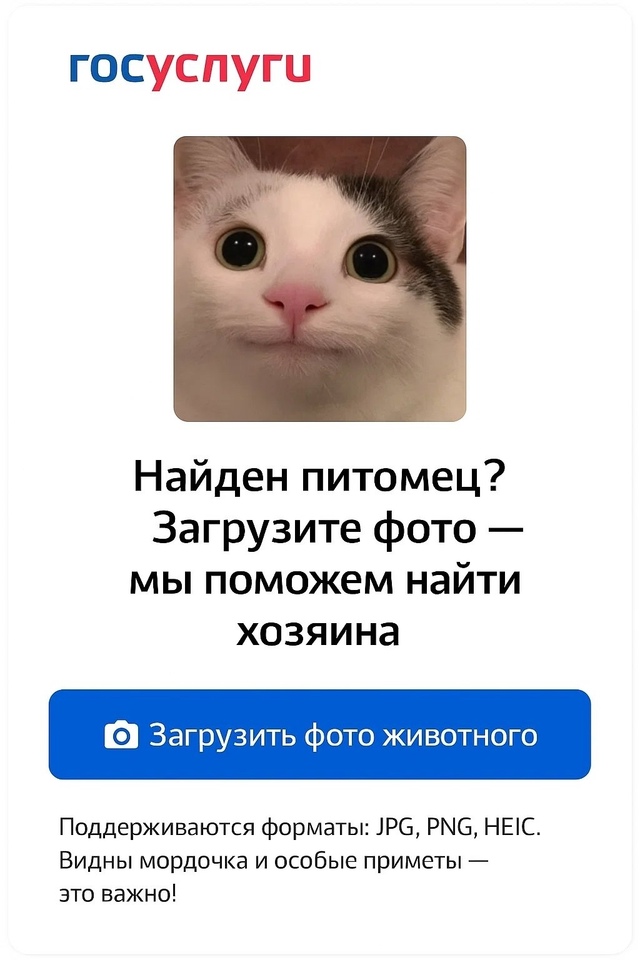 📸 На «Госуслугах» может появиться фотобанк для поиск?...