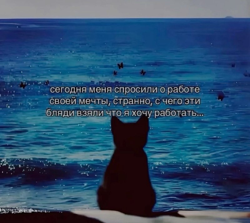 Ночная подборочка
Спать, режим