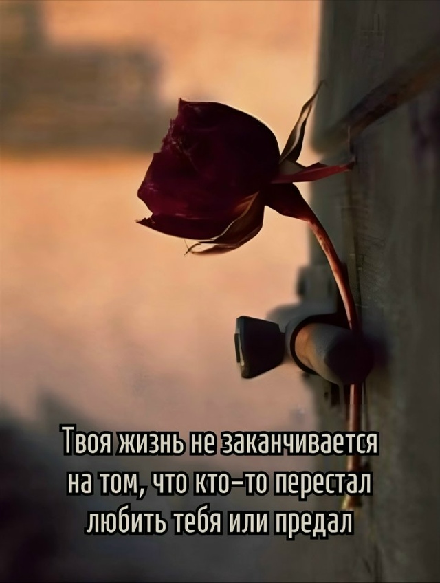 Умные мысли...