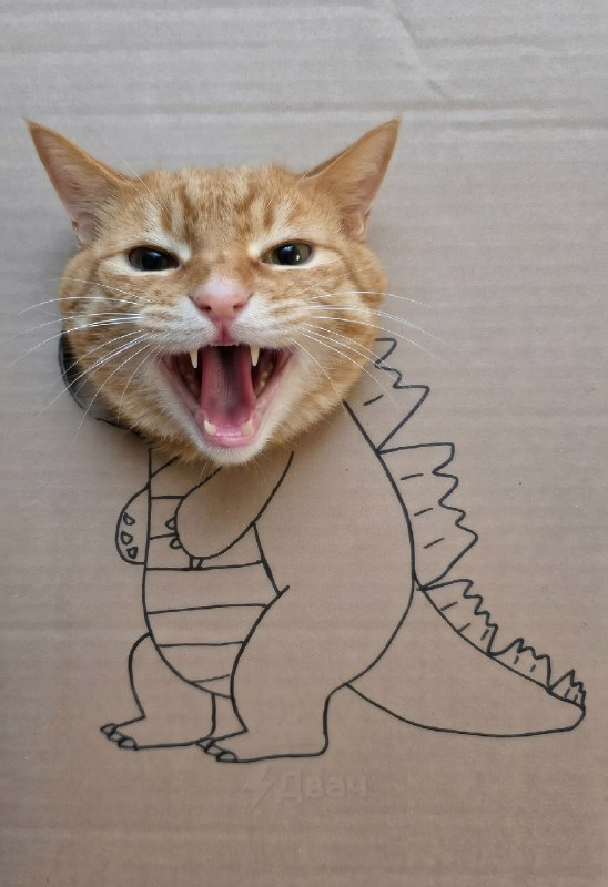 Внимание!
Котзилла.
Спасибо за внимание.