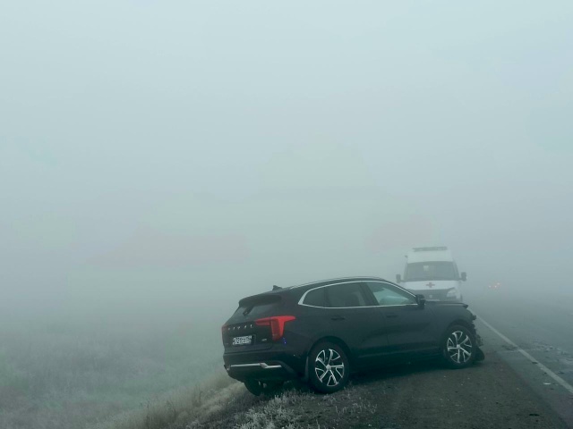 ⚡️ Трагедия на трассе Оренбург — Орск: погиб 78-летний ...