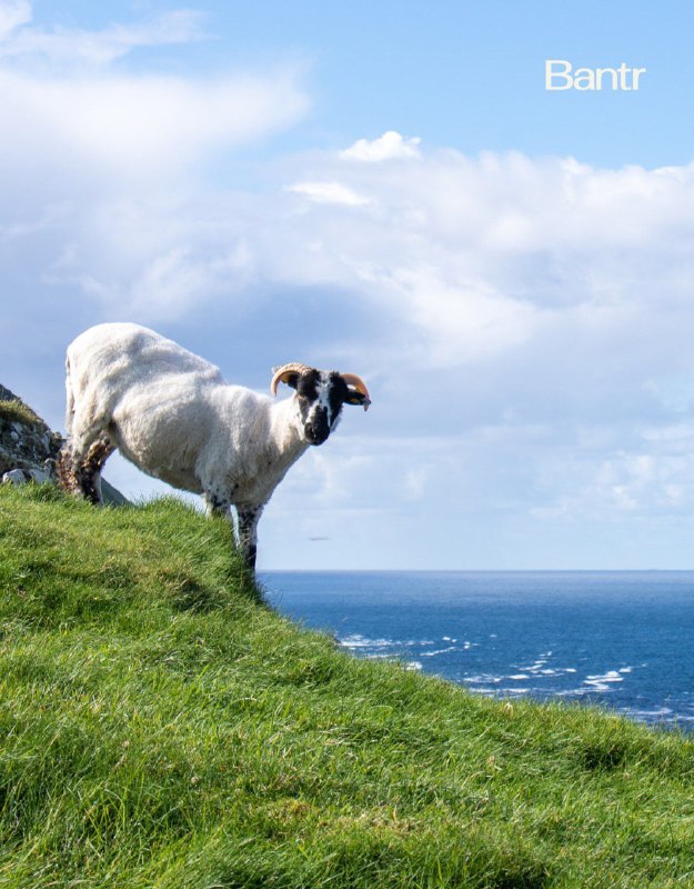 Работа на лето найдена: удалённый ирландский остров ищет двух смотрителей.
Счастливчикам нужно буд