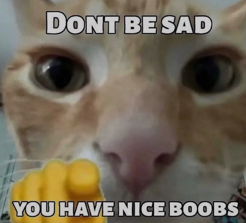 Ночная подборочка
Спать, режим