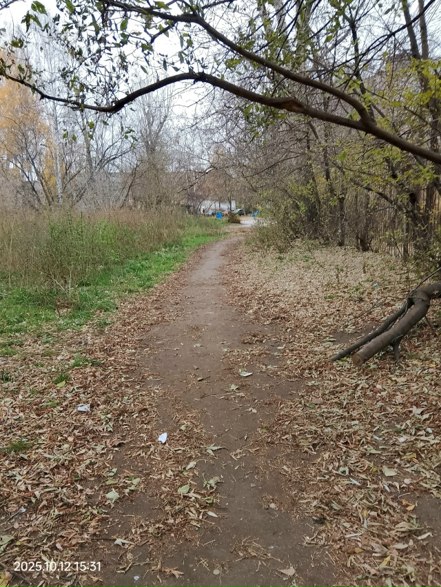 Была найдена карта на против дома по улице Маршалла Ры?...