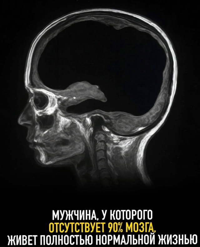 Подборка интересных фактов.