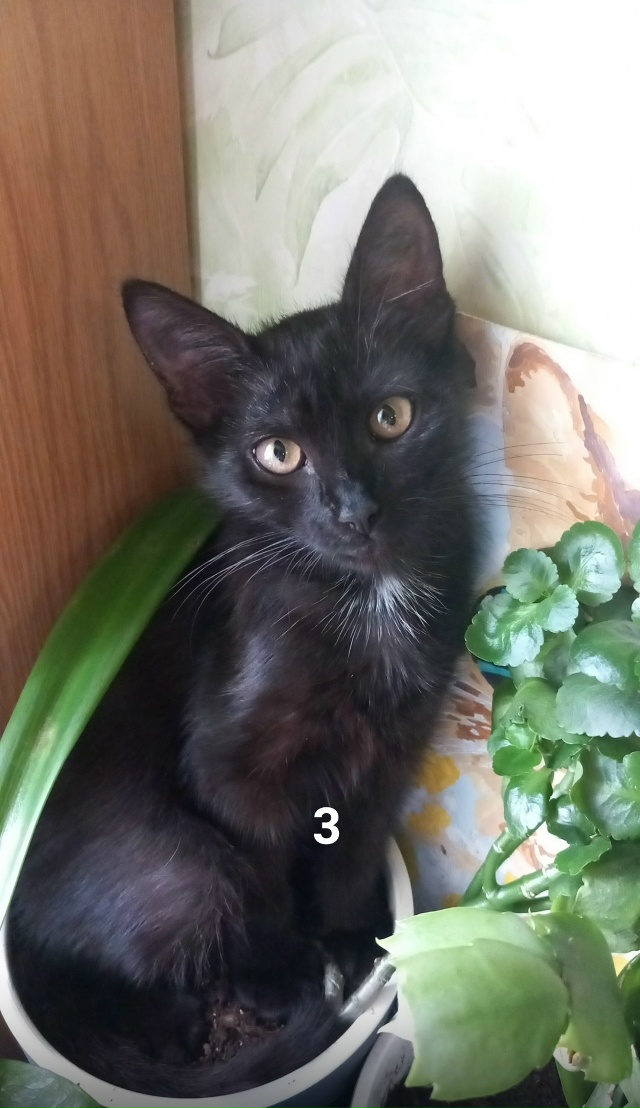 #ПотерялиНашлиПомогите
1 Найдена карта
По вопросам об...