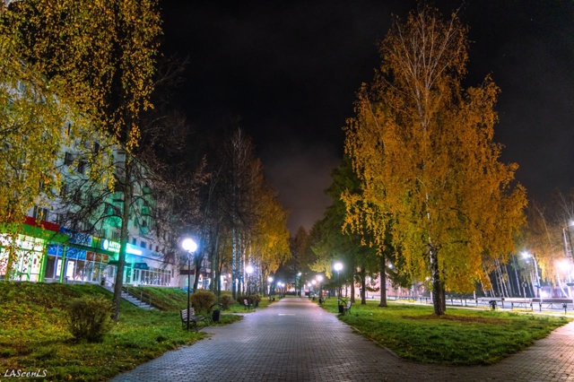 Туманная ночь в нашем прекрасном городе.
Пока все спят...