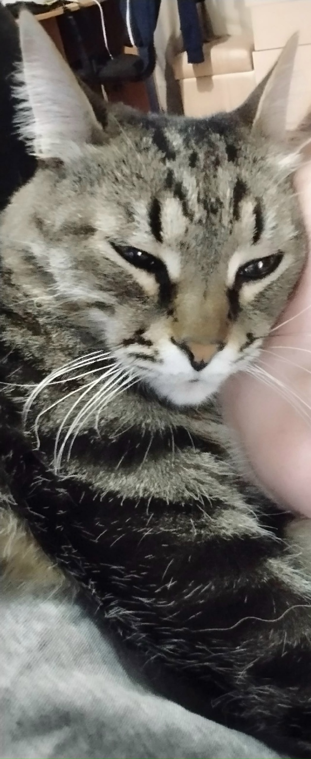 Уважаемые жители Кирово-чепецка, вчера на улице Лермо...