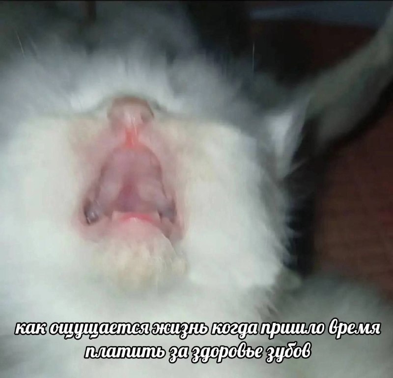 Утренняя подборочка