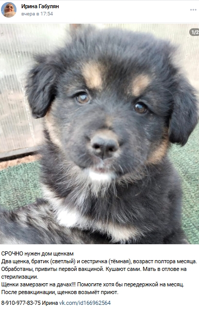 Пост добра. Распространите, пожалуйста.