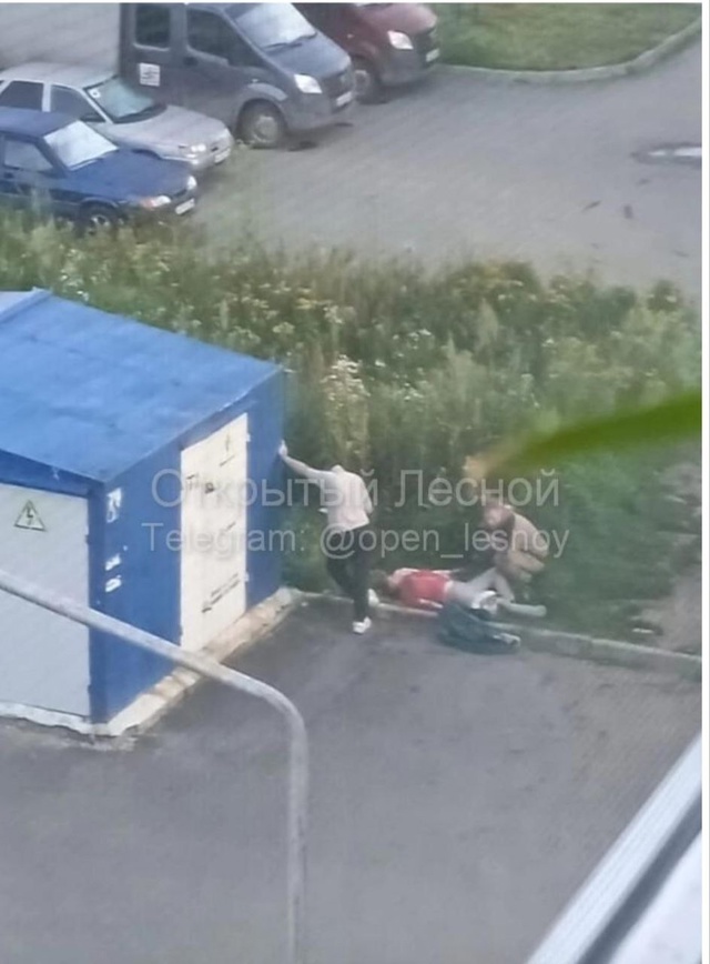В Нижней Туре кавказец убил женщину и ранил её мужа.
Об...