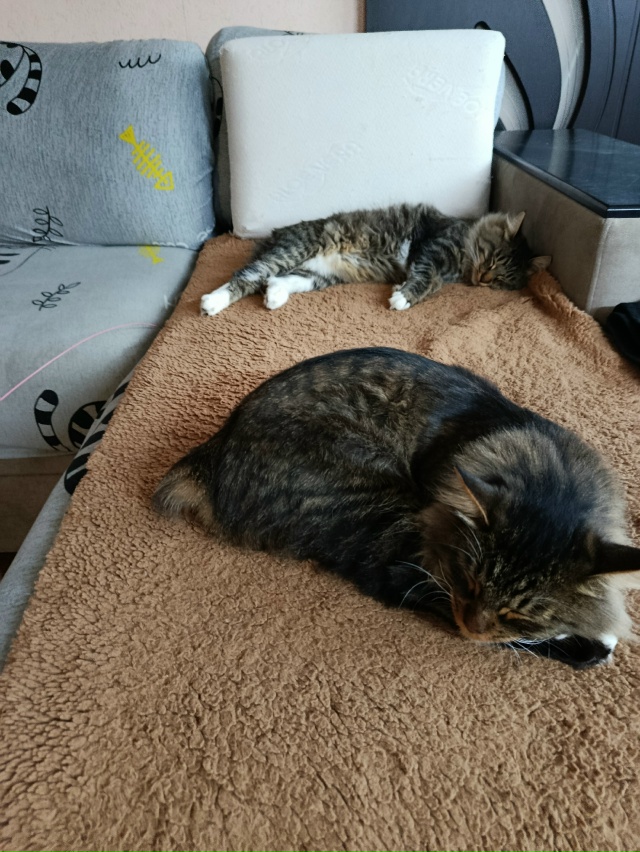 Обед, после обеда, совсем после обеда. 😄