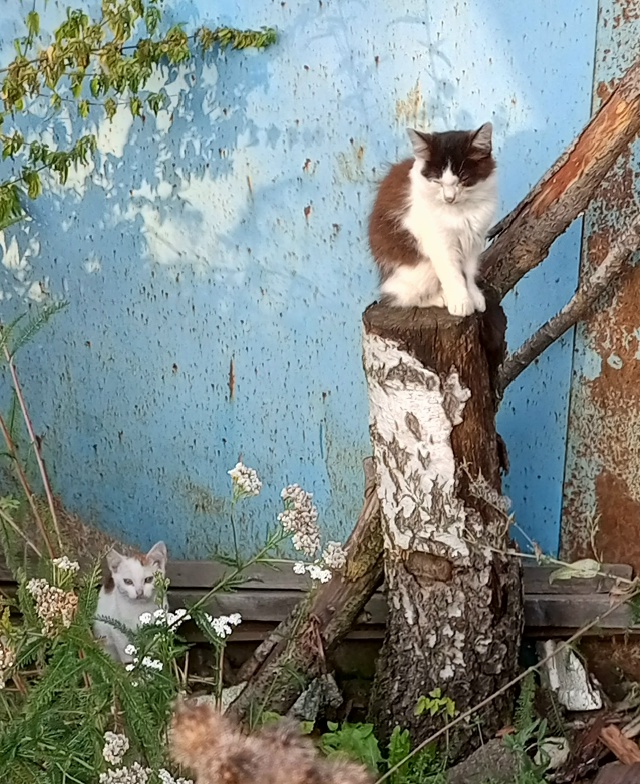 СРОЧНО НУЖНА ПЕРЕДЕРЖКА ИЛИ СРАЗУ ДОМ!!! СИТУАЦИЯ SOS!!!!! ?...