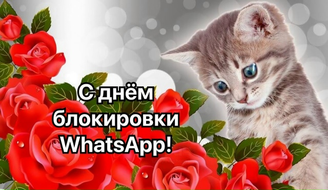 ‼️WhatsApp начали блокировать в России
Роскомнадзор ввё?...