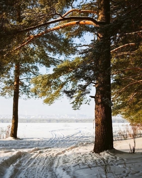В каждом времени года есть своя прелесть. Главное - уви?...