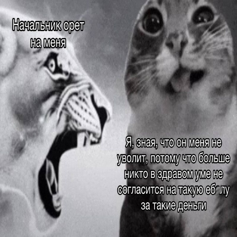 Ночная подборочка
Выходные, не спим