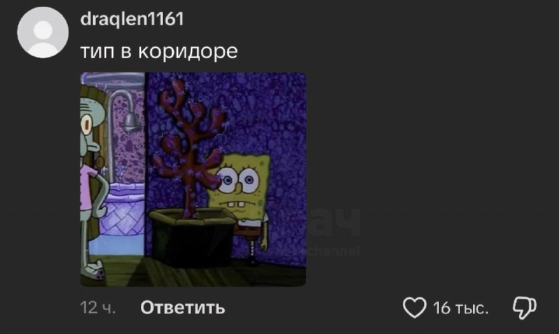 Зумер взорвал пакеты из-под сока в школе. Комменты убили.
