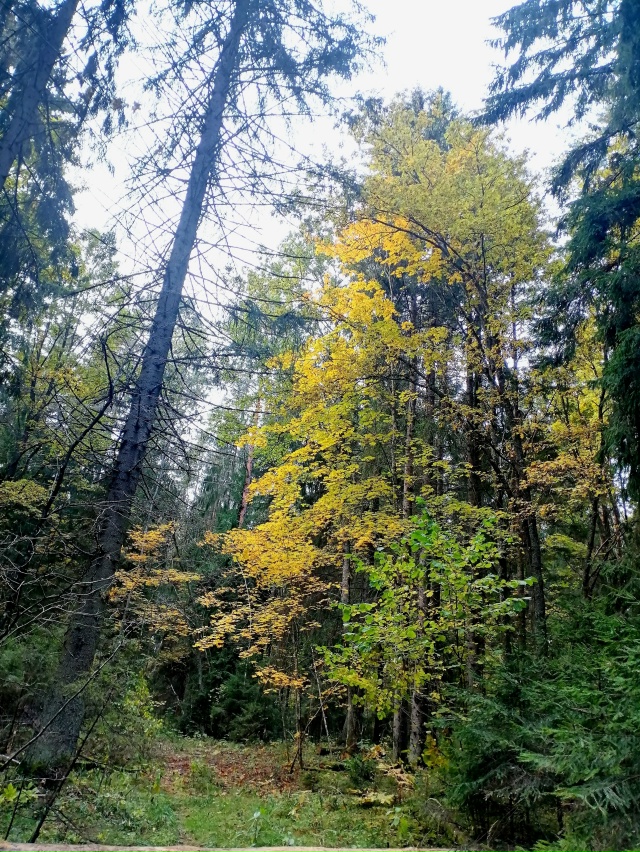 Доброго утра, Никольск❤
