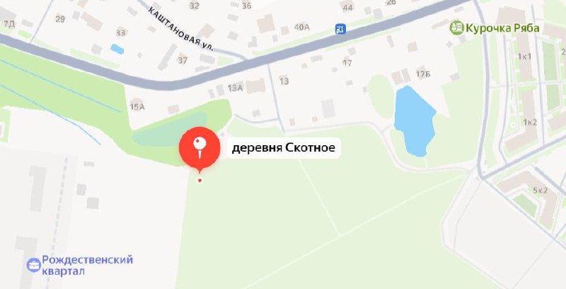 Ветеранов, многодетные семьи и других льготников бесплатно переселят в деревню Скотное в Ленинградск