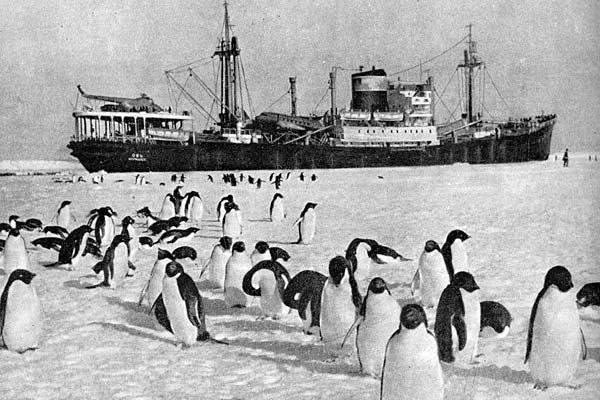 🗓️ 5 января 1956 года к берегам Антарктиды доставлена п?...