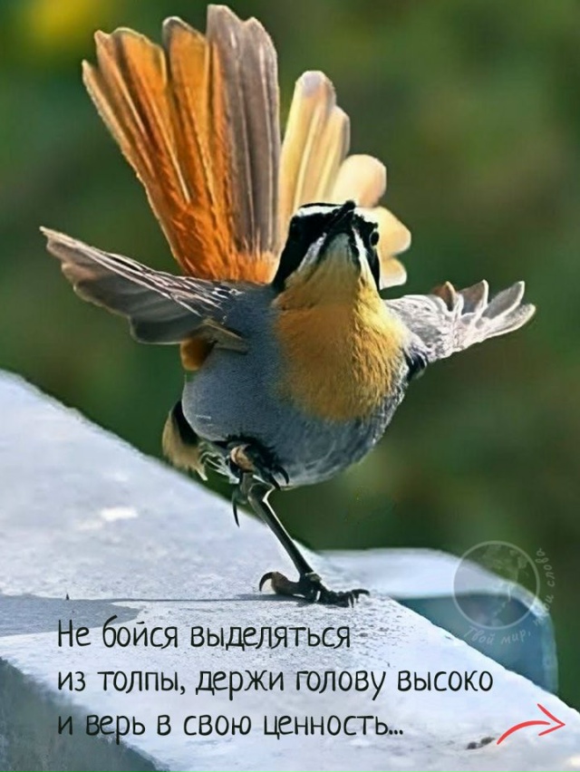 Будьте смелее!