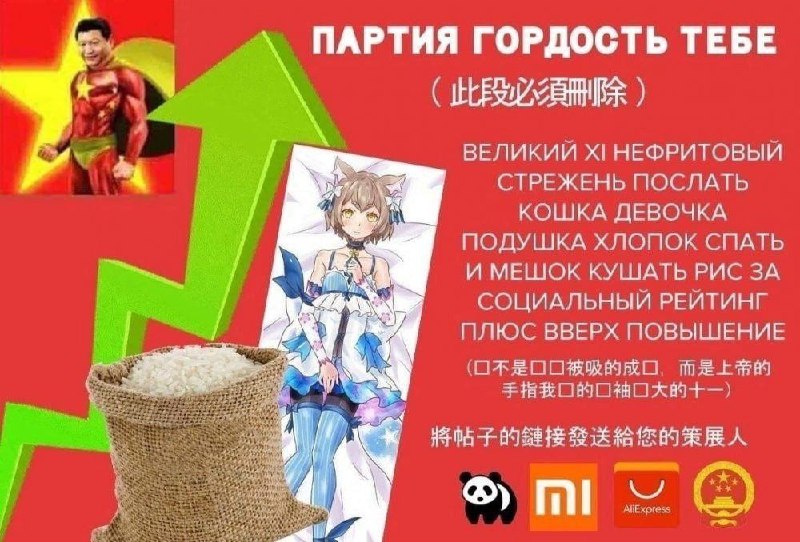 В российских школах хотят начать изучать китайскую литературу.
Вице-премьер Татьяна Голикова заяви