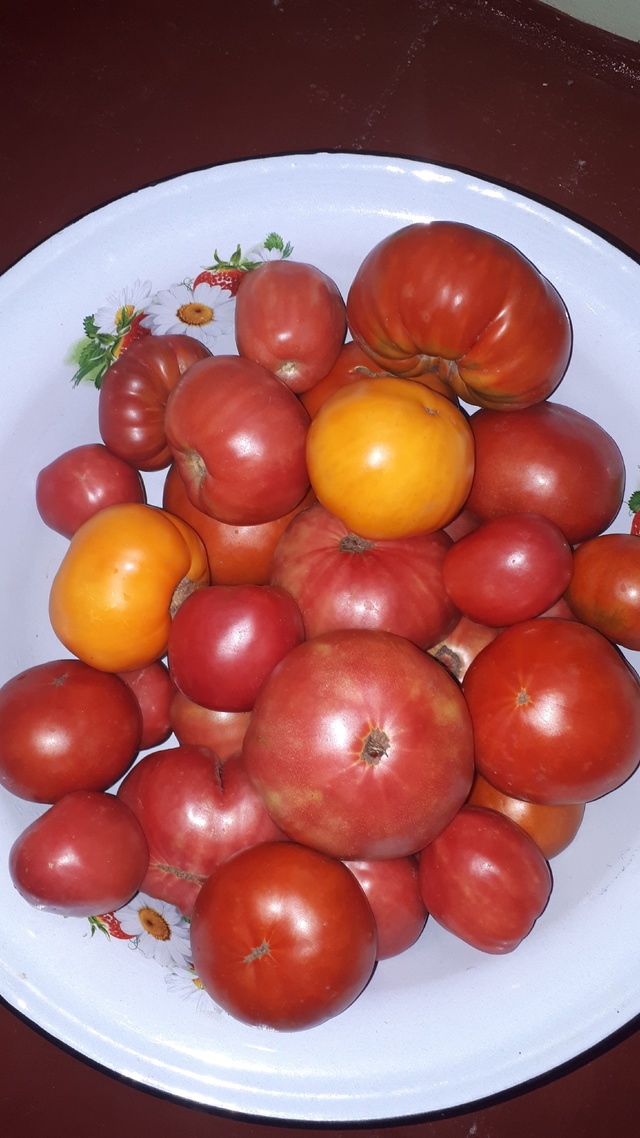 ПРОДАЮТСЯ КРУПНЫЕ, МЯСИСТЫЕ ПОМИДОРЫ 80 РУБ.КГ. ТЕЛ. 8903395...