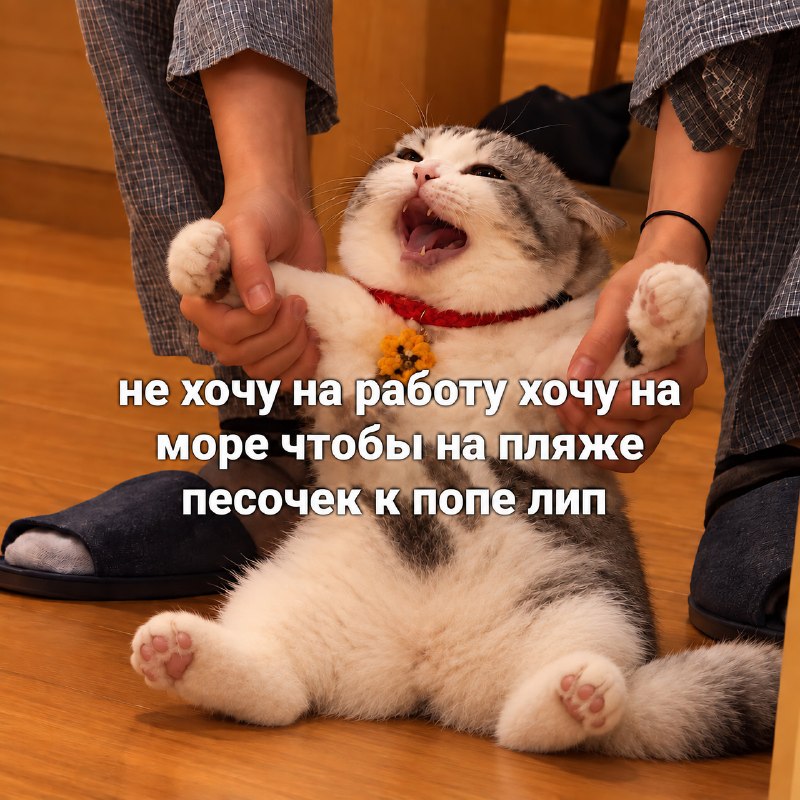 Настроение на утро понедельника