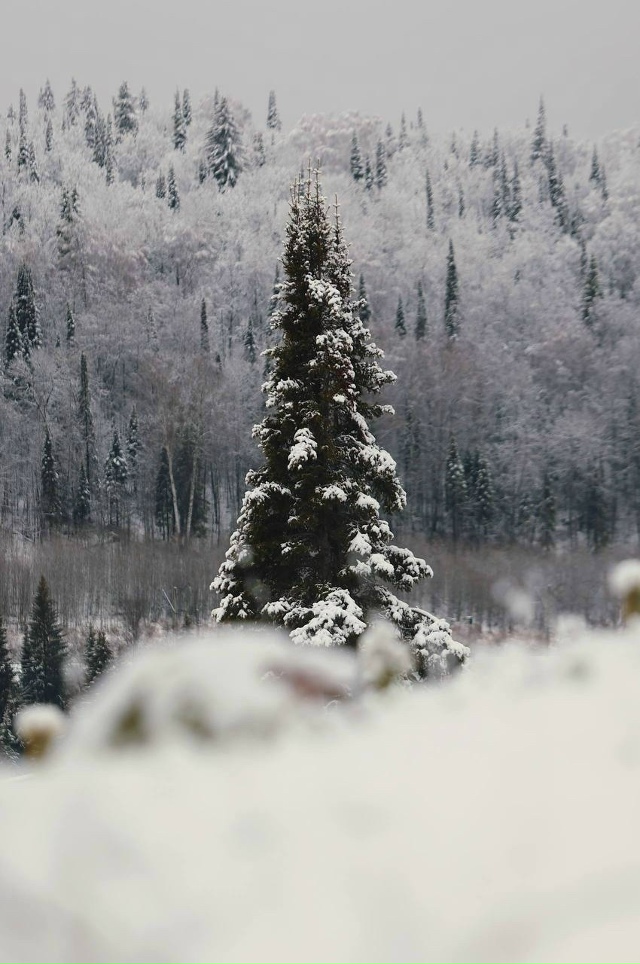 ❄️Снежный Красноуфимск в объективе Вадима Шамсияров?...