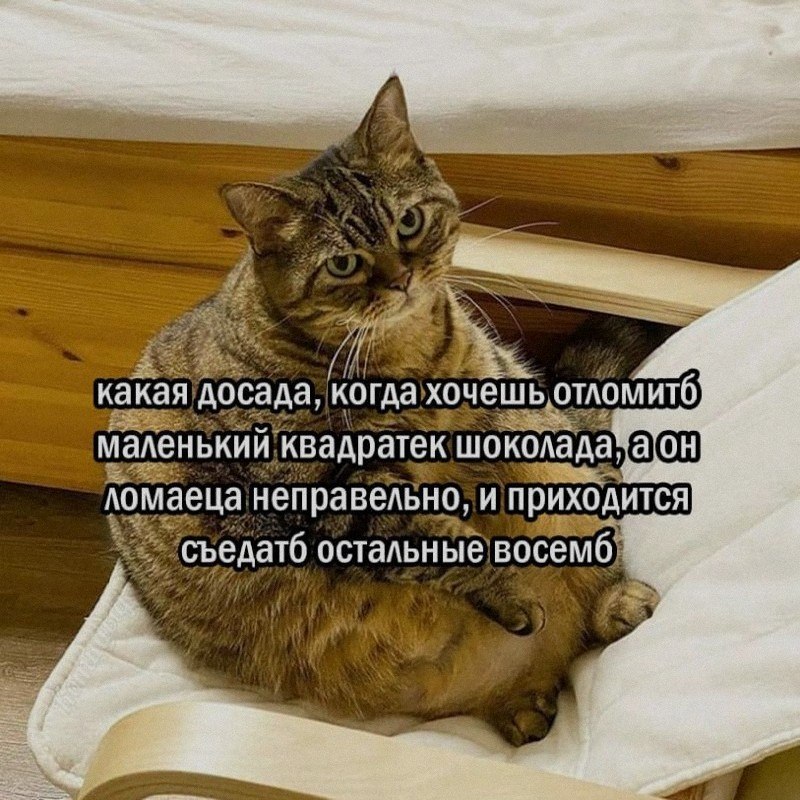 Ночная подборочка
Спать, режим