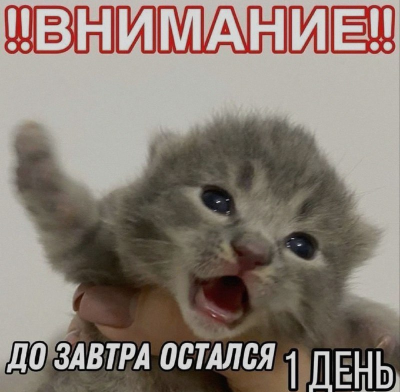 Ночная подборочка
Выходные, не спим