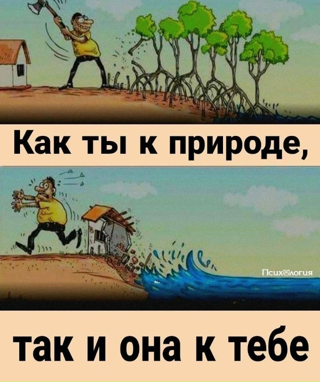 Когда же мы уже начнем думать головой...