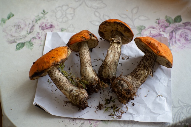 Природа думает, что сейчас осень, поэтому грибы уже ест...