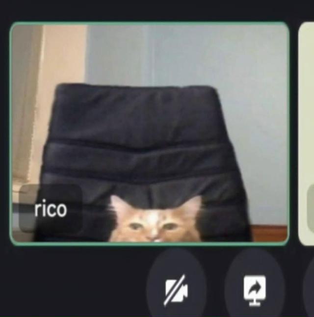 🎧Учёные выяснили, что рабочие видеозвонки почти бесп?...