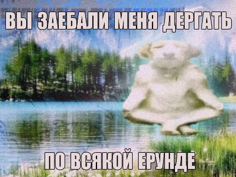 когда на работе отвлекли от просмотра рилсов и попросили сделать свою работу