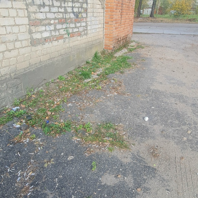 Здравствуйте, такой огромный вопрос задают общижитея ?...