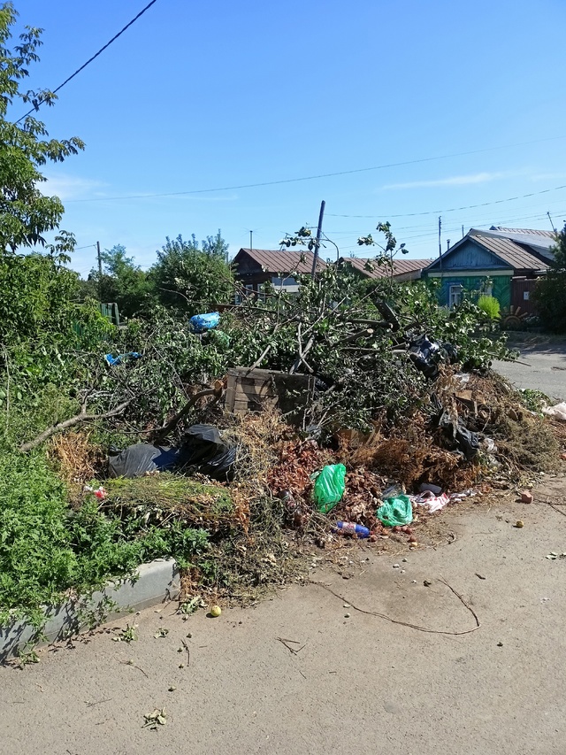 Кучу мусора на 1 линии не вывозят уже вторую неделю, уже...