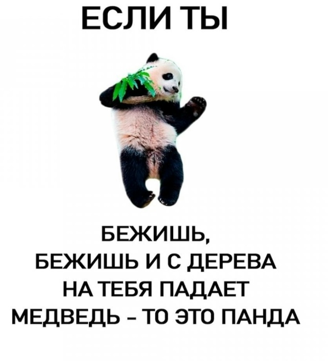 Запоминаем короче