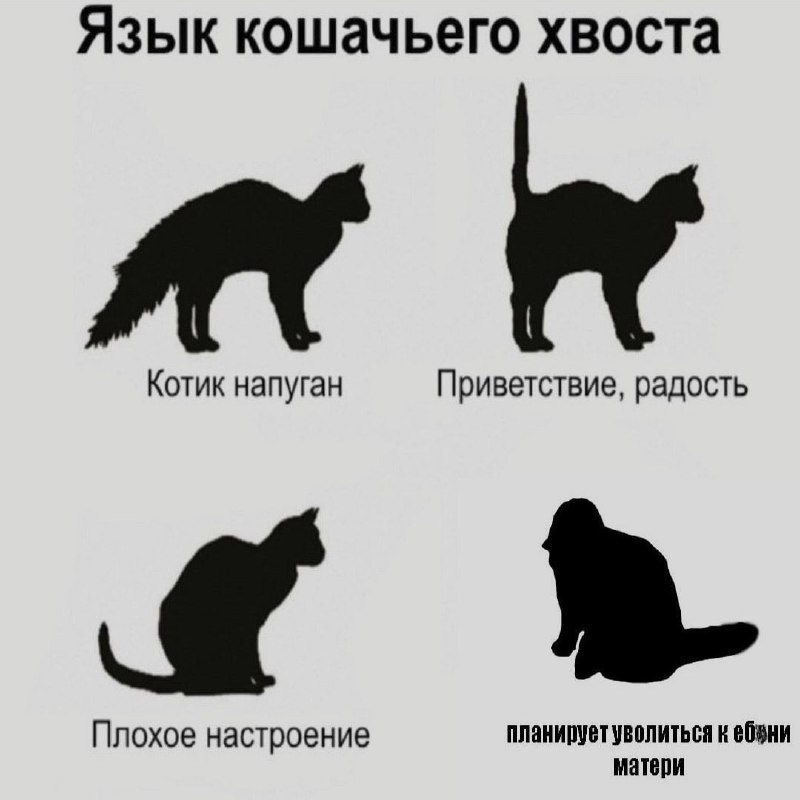 Ночная подборочка
Спать, режим