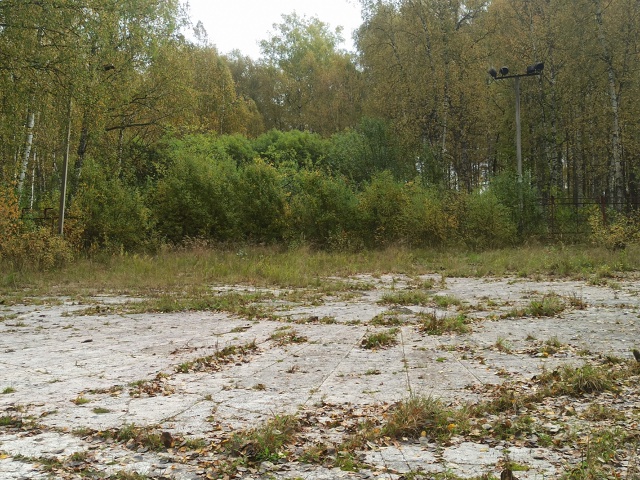 На первом фото это было у нас в городском парке на танц?...